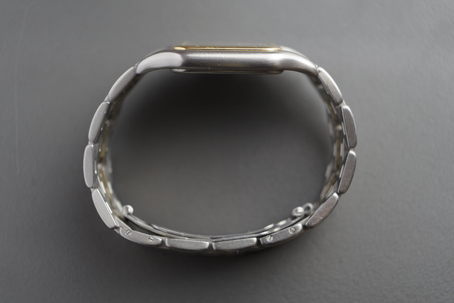 Panthère Ref. 8395 Jumbo XL 18k Gold | 29 x 40mm großes Modell